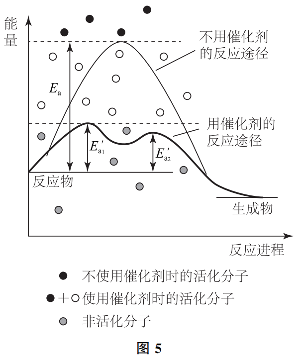 ڻѧӦʵ