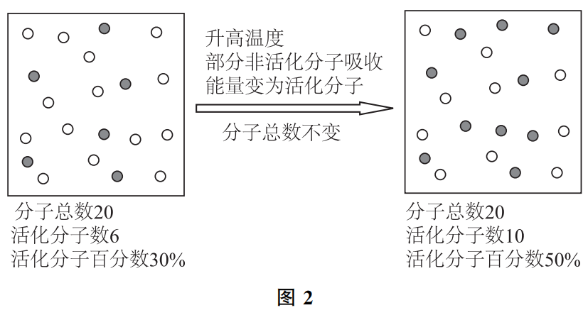 ڻѧӦʵ