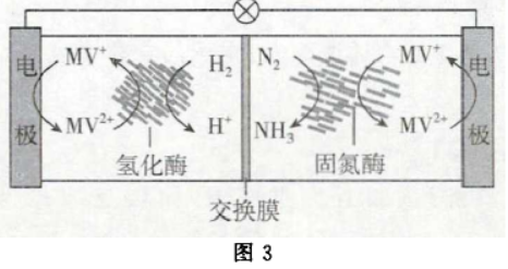 绯ѧӽĤ֪ģ͵ĽӦ