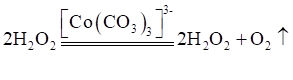 2024ʡͨѧҵˮƽѡԻѧ