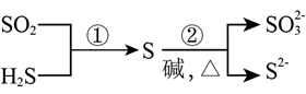 2024꼪ʡͨߵѧУѡԻѧ