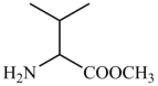 2024ɽʡͨߵѧУѡԻѧ