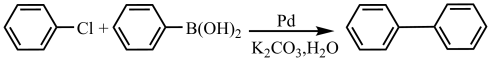 2024ɽʡͨߵѧУѡԻѧ