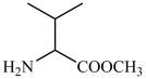 2024ɽʡͨߵѧУѡԻѧ