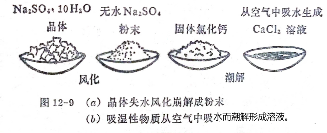 ͷ绯