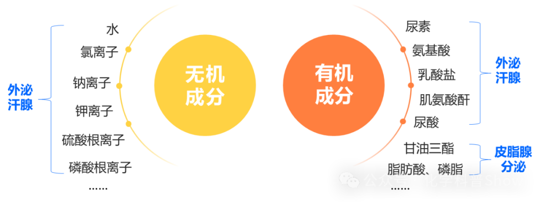 如何通过一枚指纹锁定真凶? 如何通过一枚指纹锁定真凶?